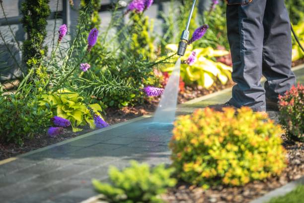 Best Boat and Dock Cleaning  in Summit Hill, PA